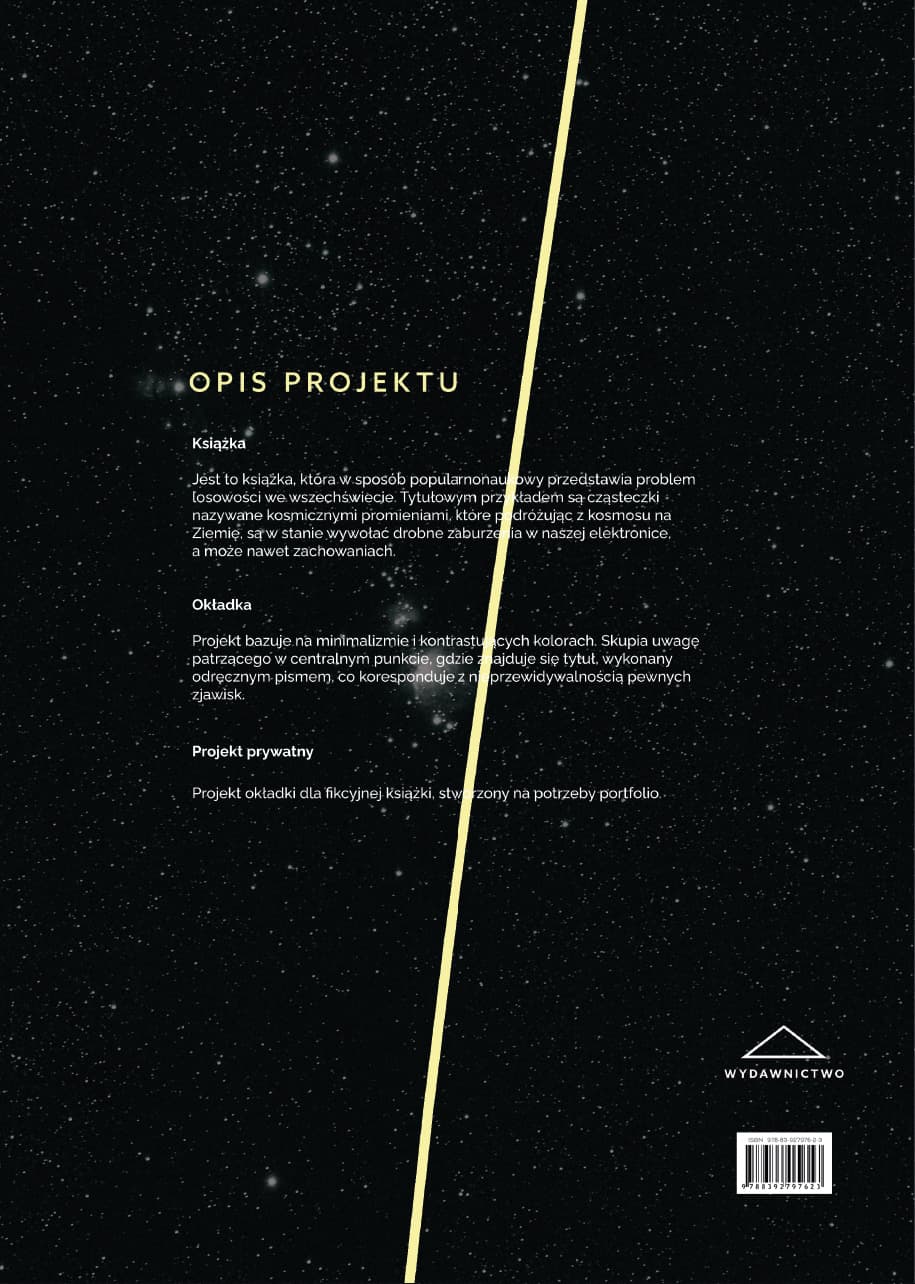 grafika prezentująca projekt
